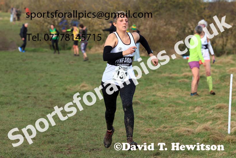 Womens 35 and Over and Mens 65 and Over, 2024 NEMAA Cross Country Champs., Wallsend. Photo: David T. Hewitson/Sports for All Pics